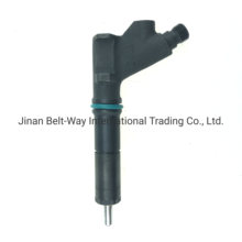 Wholesale Fuel Injector for Engine Part (VG1246080036)